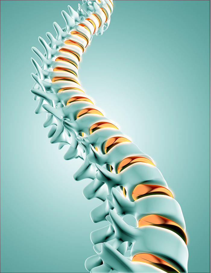 columna veretebral