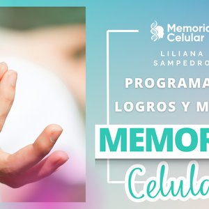 Programa completo para logros y metas - 3 clases