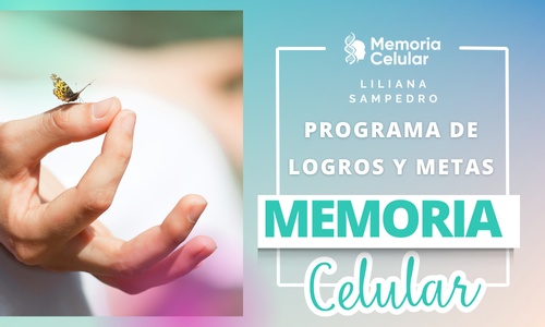 Programa completo para logros y metas – 3 clases