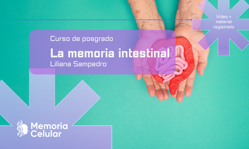 Posgrado - Memoria intestinal