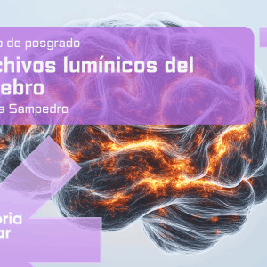 Posgrado - Archivos lumínicos en el cerebro