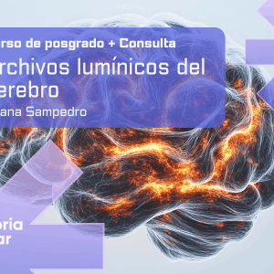 Posgrado + Consulta - Archivos lumínicos en el cerebro