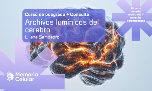 Posgrado + Consulta - Archivos lumínicos en el cerebro