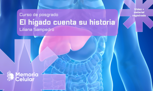 Posgrado - El hígado cuenta su historia
