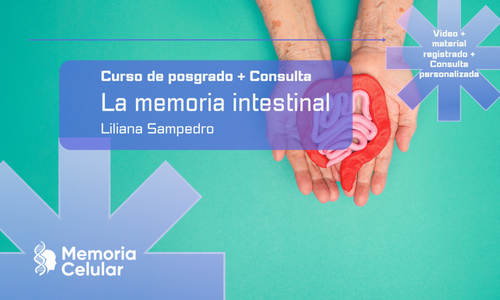 Posgrado + Consulta - Memoria intestinal