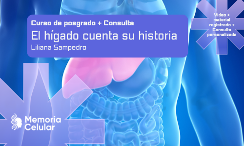 Posgrado + Consulta - El hígado cuenta su historia