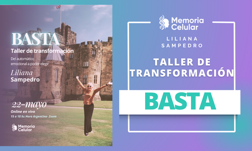 BASTA – Taller de Transformación – Experiencia guiada online